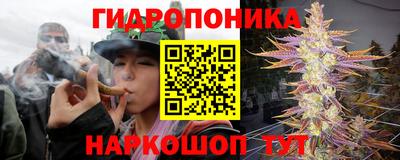 бошки Боровичи