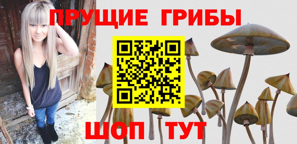 Кизляр  Галлюциногенные грибы прущие грибы  Галлюциногенные грибы MAGIC MUSHROOMS  Вход с VPN 